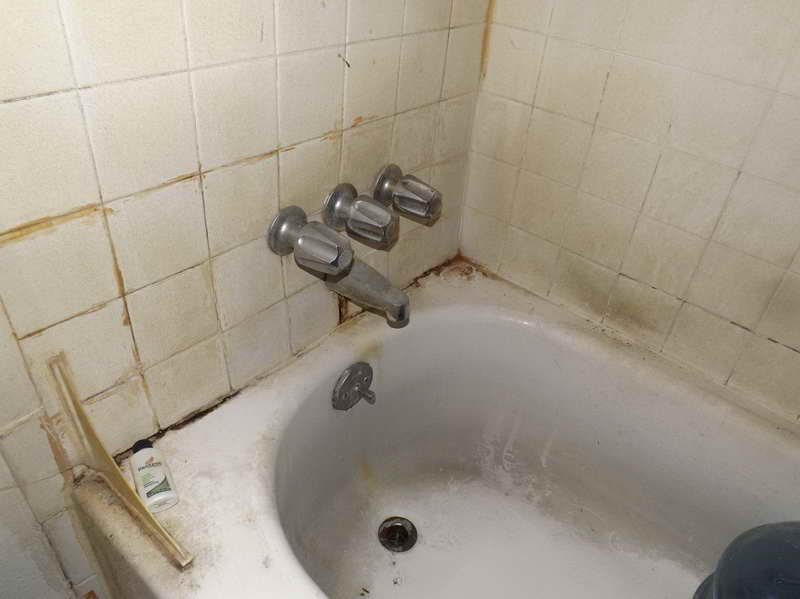 плесень в ванне что делать плесень на ванной